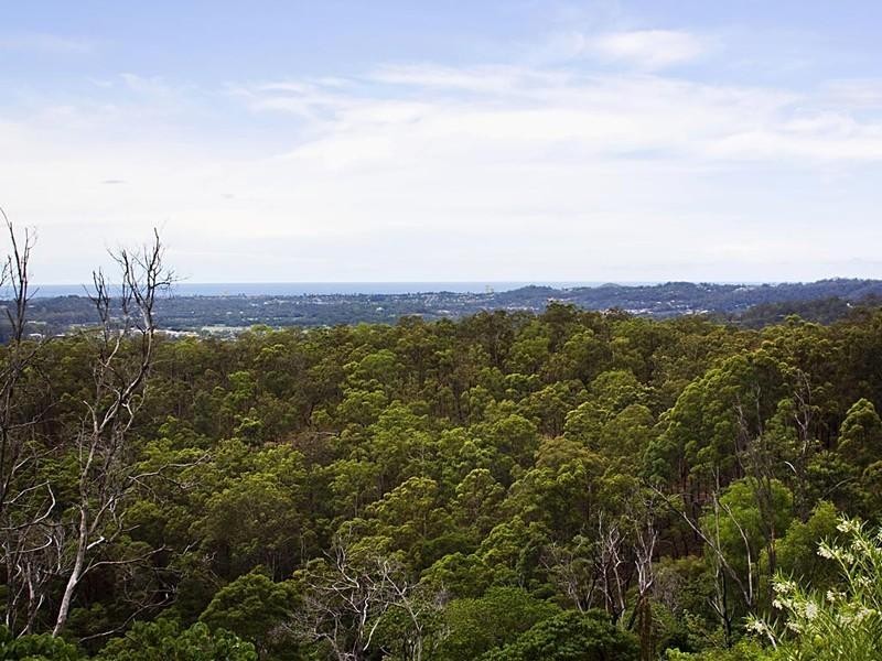 66 Golden Valley Road, Tallebudgera Valley QLD 4228