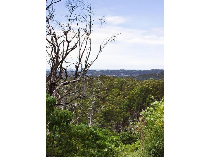 66 Golden Valley Road, Tallebudgera Valley QLD 4228