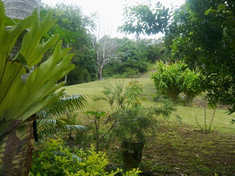 21 Lillee Court, Currumbin Valley QLD 4223