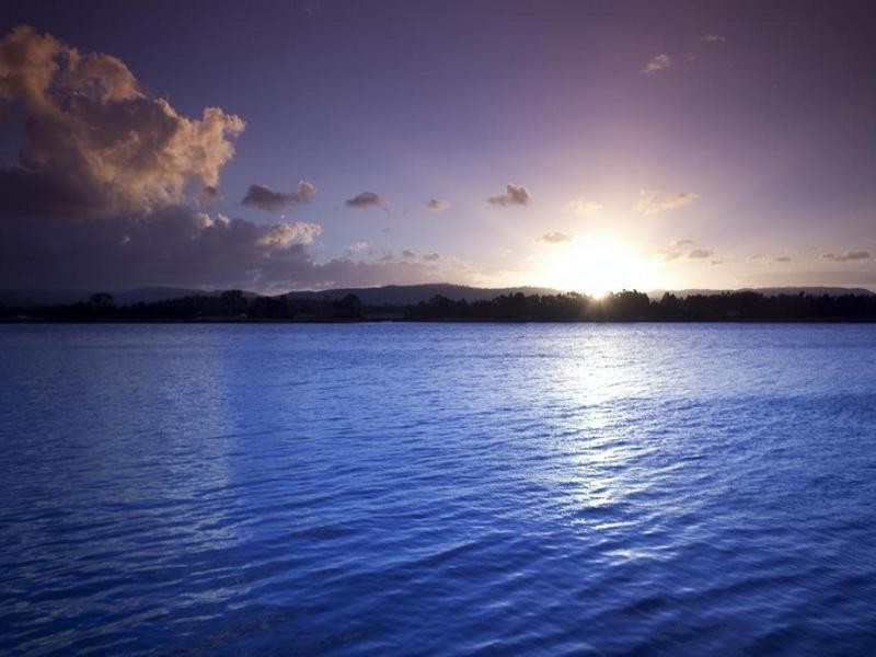 15 Istana View, Clear Island Waters QLD 4226