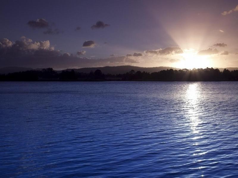 15 Istana View, Clear Island Waters QLD 4226