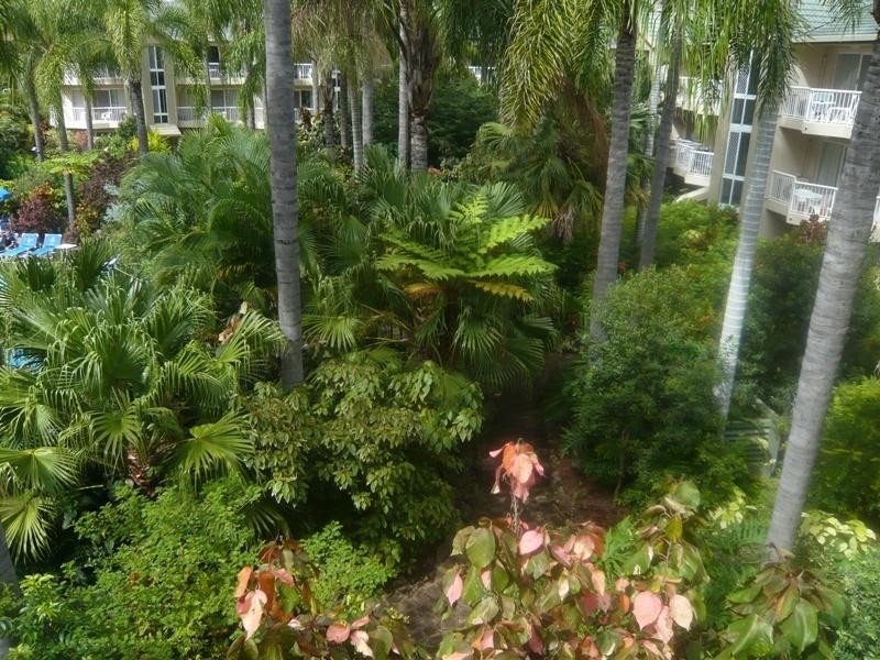 57/23 Wharf Road, Surfers Paradise QLD 4217