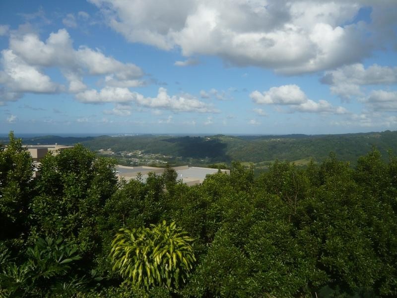 545 Trees Road, Tallebudgera QLD 4228