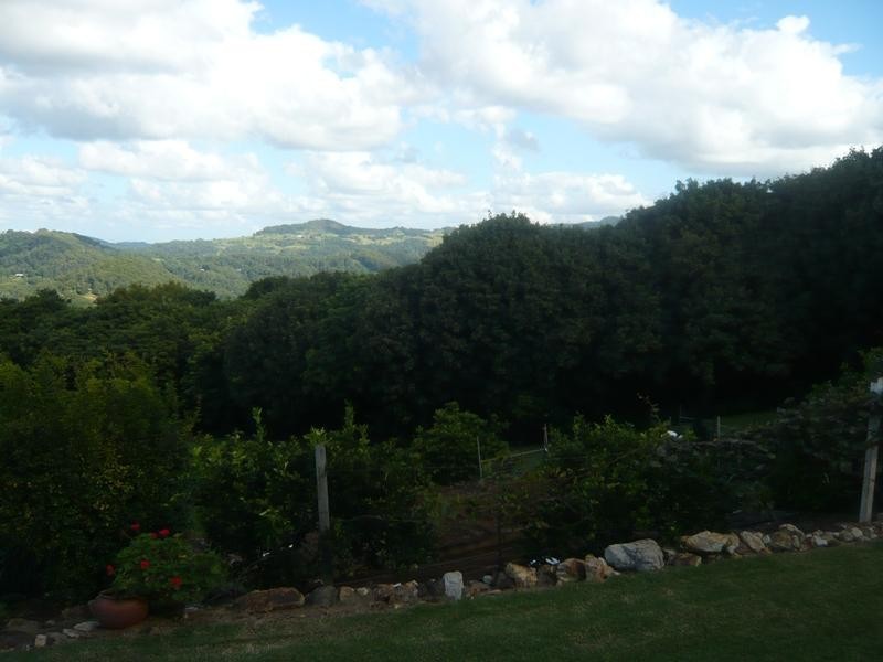 545 Trees Road, Tallebudgera QLD 4228