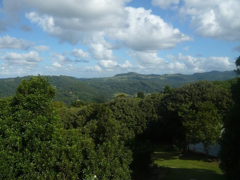 545 Trees Road, Tallebudgera QLD 4228