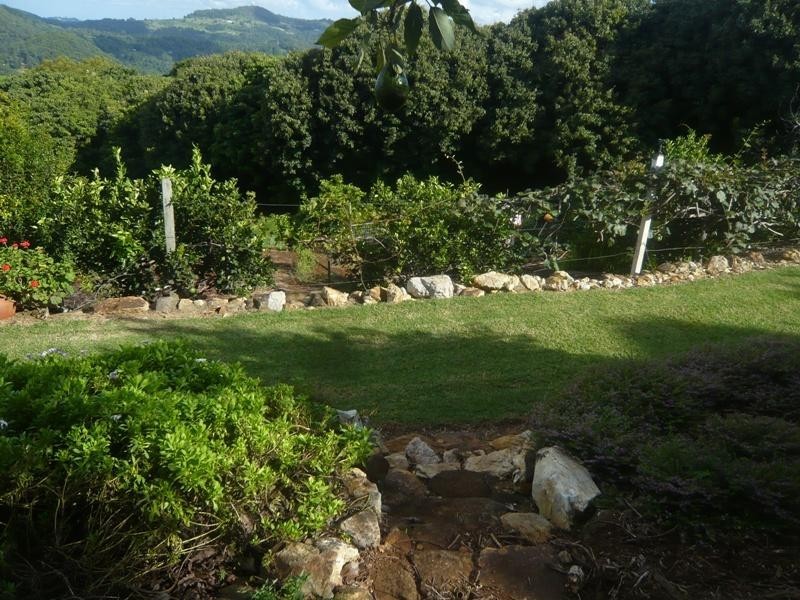 545 Trees Road, Tallebudgera QLD 4228