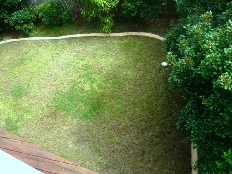 8 St Pauls Crescent, Varsity Lakes QLD 4227