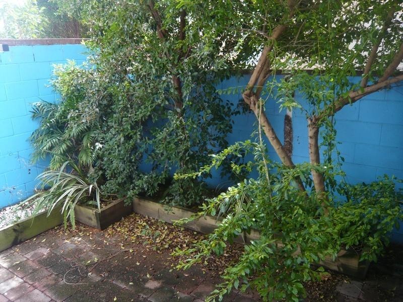 3/5 Aquila Court, Mermaid Waters QLD 4218