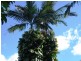Worongary QLD 4213