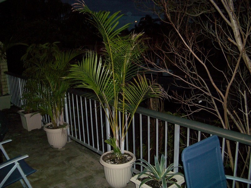 5/7 Duet Drive, Mermaid Waters QLD 4218