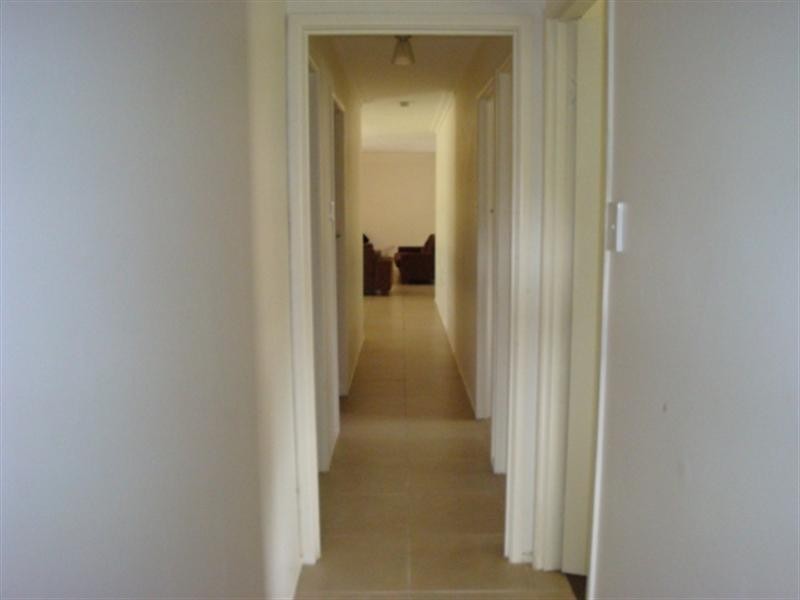 115 Allambi Avenue, Broadbeach Waters QLD 4218