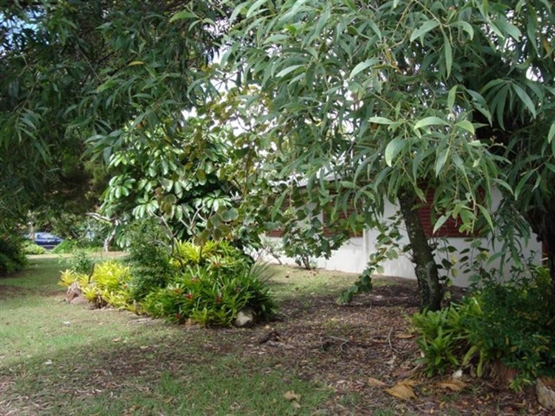 115 Allambi Avenue, Broadbeach Waters QLD 4218