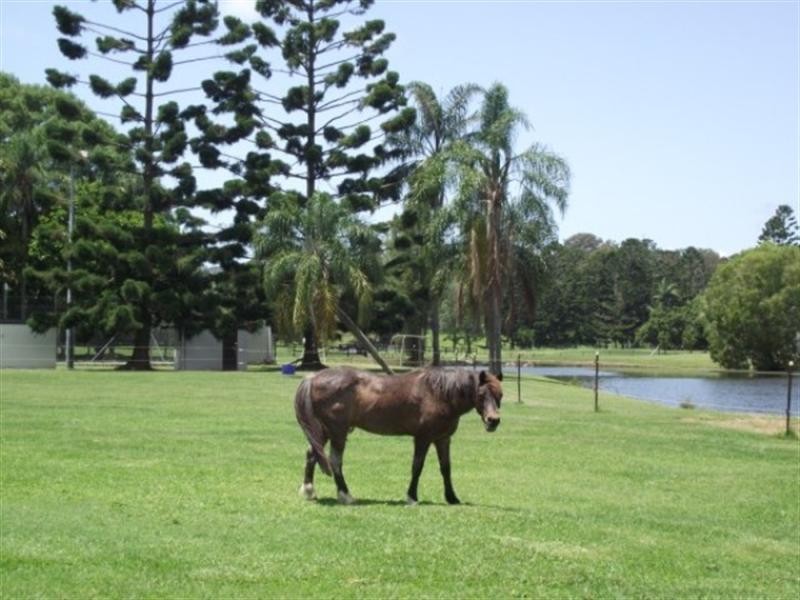 15 Tyalla Court, Tallebudgera QLD 4228