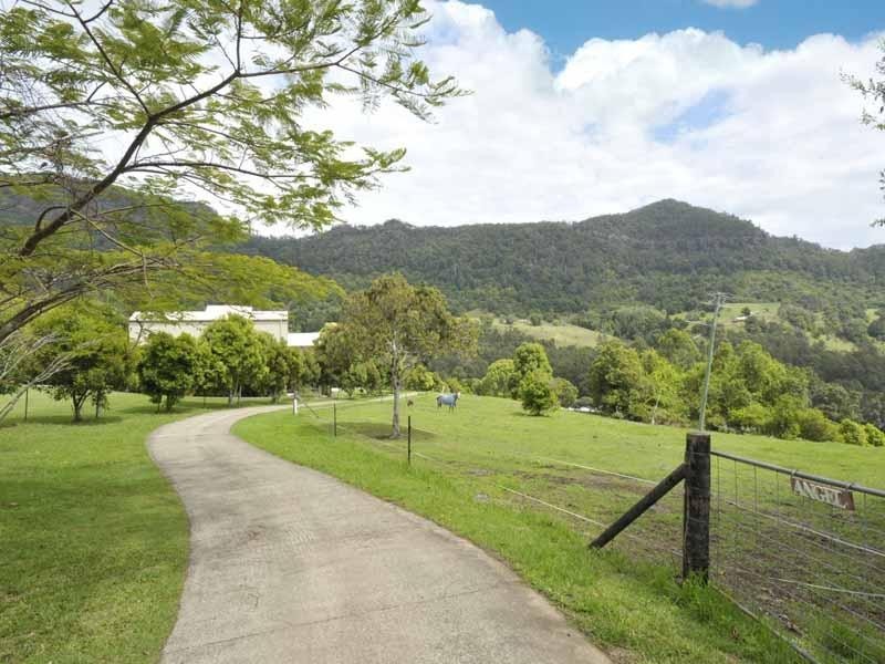 340 Petsch Creek Road, Tallebudgera Valley QLD 4228