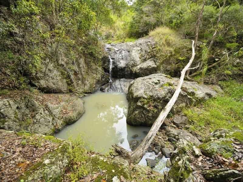 340 Petsch Creek Road, Tallebudgera Valley QLD 4228