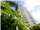 16C/74 Old Burleigh Road, Surfers Paradise QLD 4217
