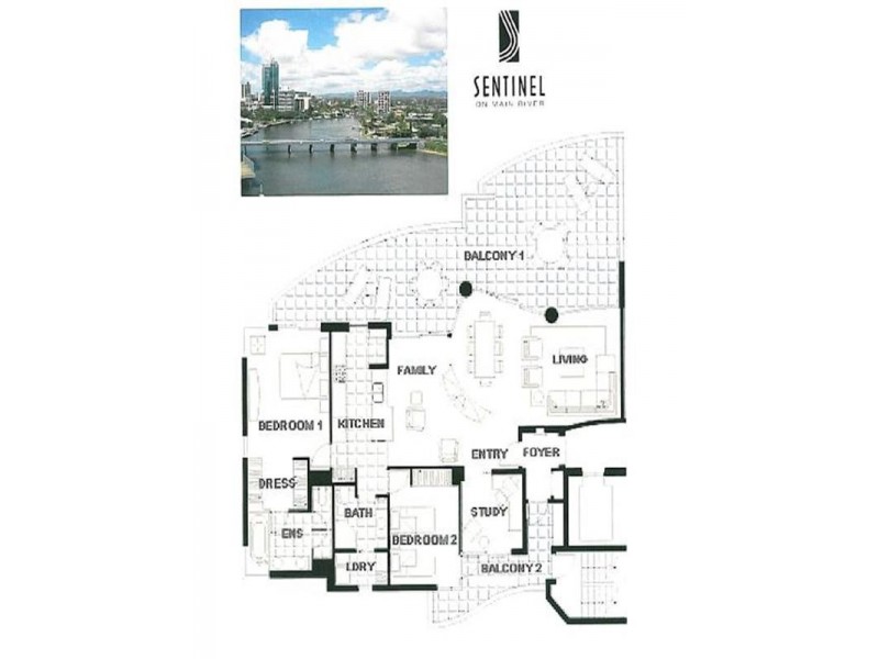 44/40 Riverview Parade, Surfers Paradise QLD 4217