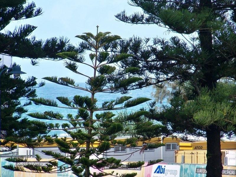 1B ‘Peninsular’ 5 Clifford Street, Surfers Paradise QLD 4217