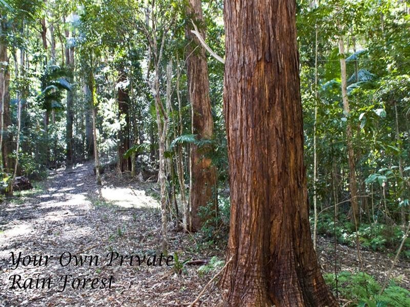 Currumbin Valley QLD 4223