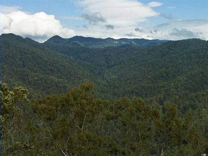 13 Riberry Court, Bonogin QLD 4213