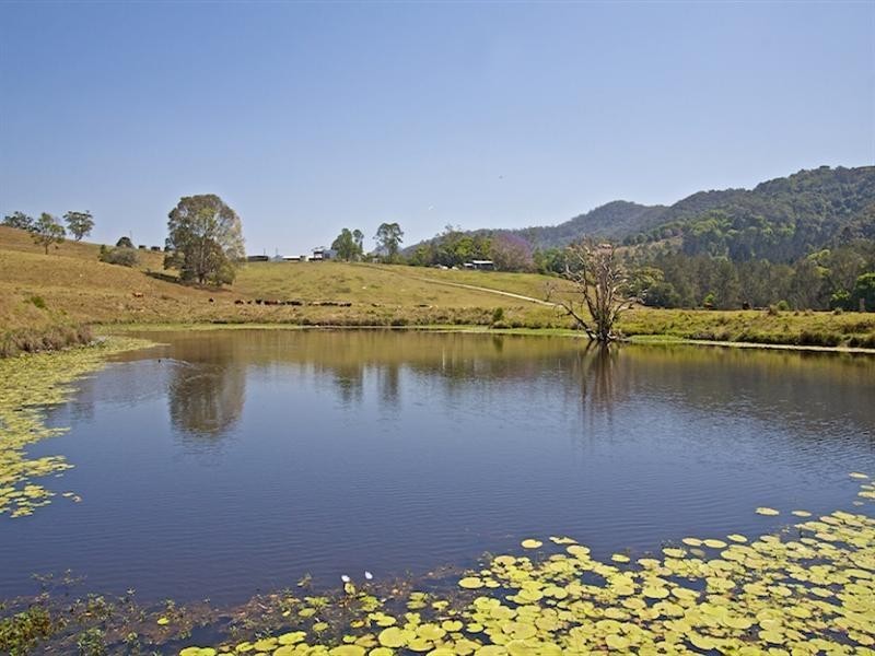 829 Tallebudgera Creek Road, Tallebudgera Valley QLD 4228