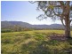 829 Tallebudgera Creek Road, Tallebudgera Valley QLD 4228
