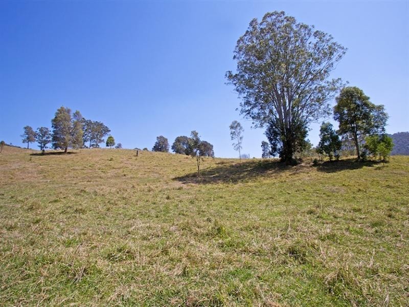 829 Tallebudgera Creek Road, Tallebudgera Valley QLD 4228