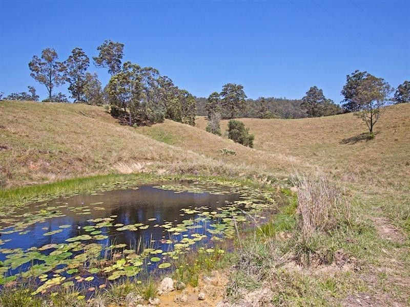 829 Tallebudgera Creek Road, Tallebudgera Valley QLD 4228
