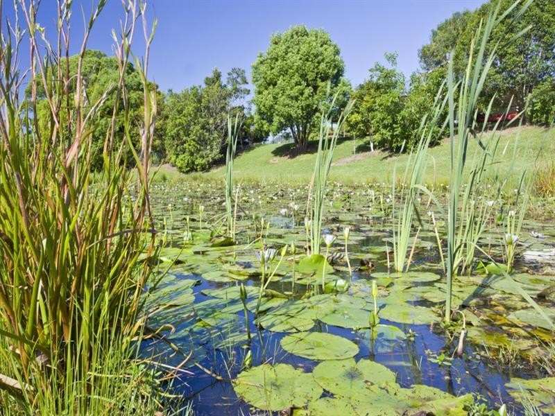 45 Dungogie Drive, Tallebudgera QLD 4228