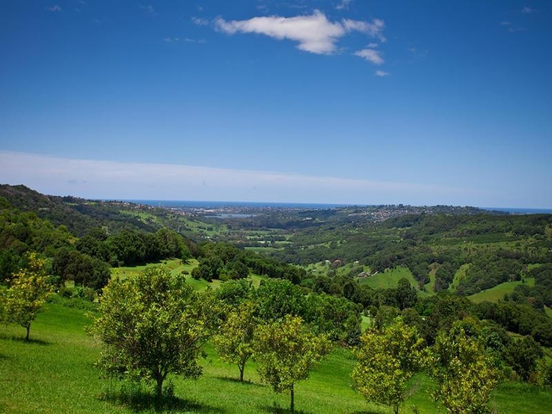 363 Carool Road, Carool NSW 2486