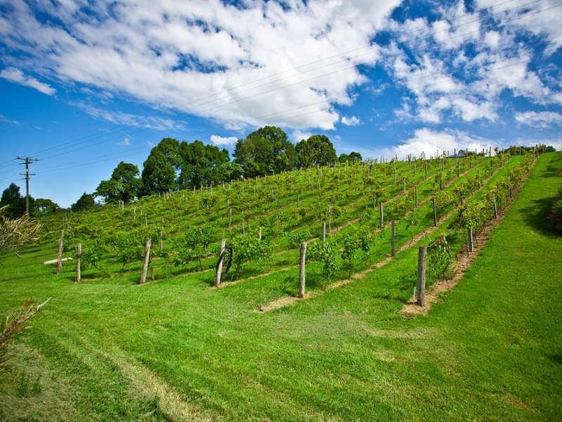 363 Carool Road, Carool NSW 2486