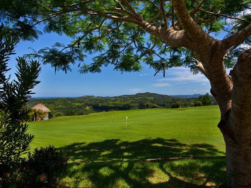 363 Carool Road, Carool NSW 2486