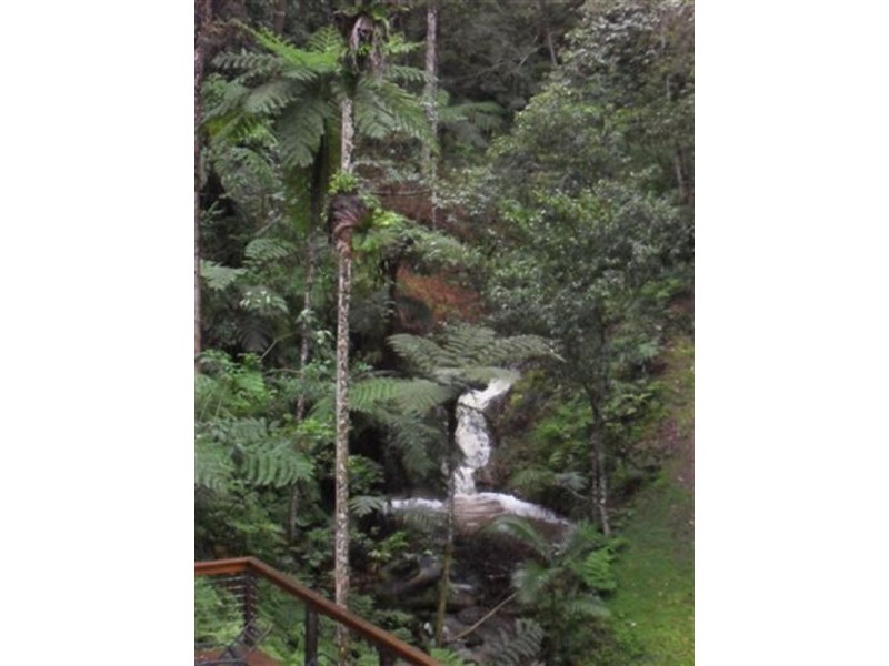 1526 Currumbin Creek Road, Currumbin Valley QLD 4223