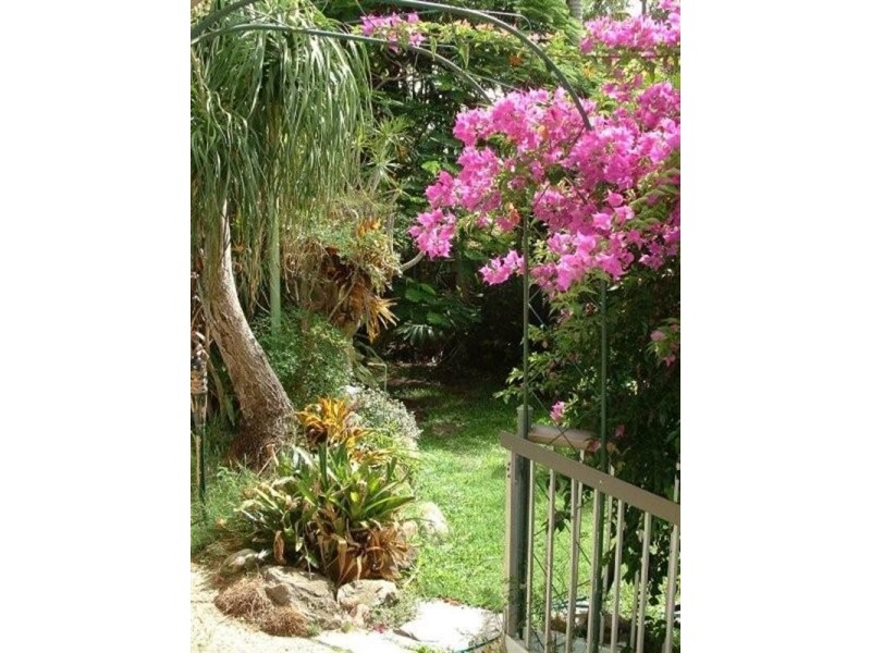 119 Bamboo Avenue, Benowa QLD 4217