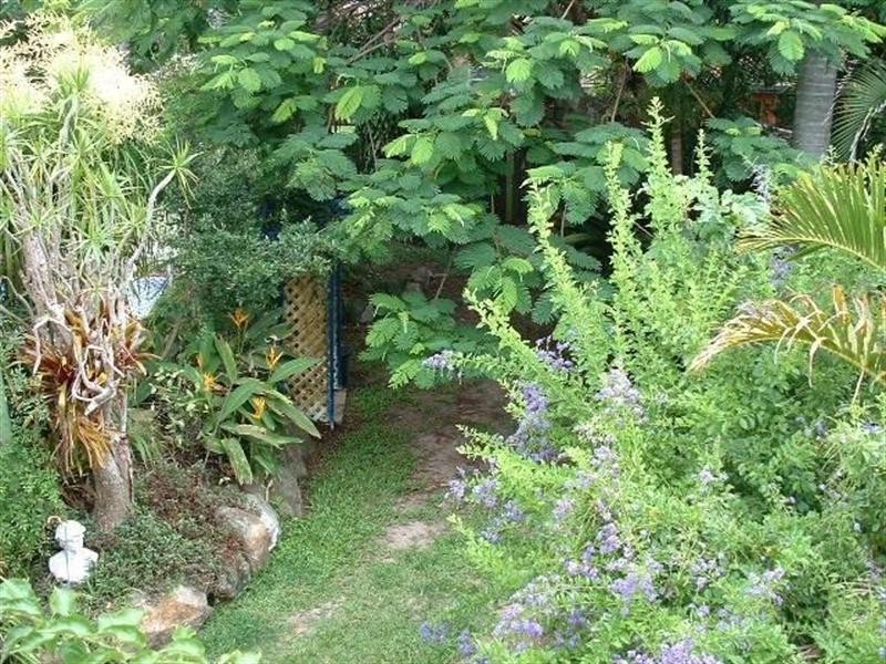 119 Bamboo Avenue, Benowa QLD 4217