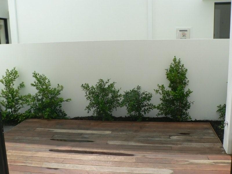 10004 The Boulevade, Benowa QLD 4217