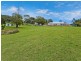 647 Trees Road, Tallebudgera QLD 4228
