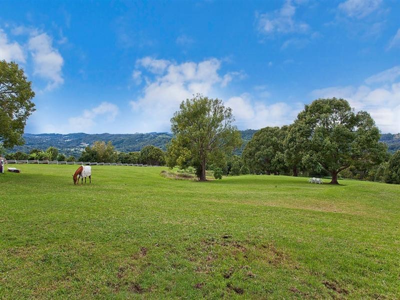 647 Trees Road, Tallebudgera QLD 4228