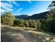 308 Petsch Creek Road, Tallebudgera Valley QLD 4228