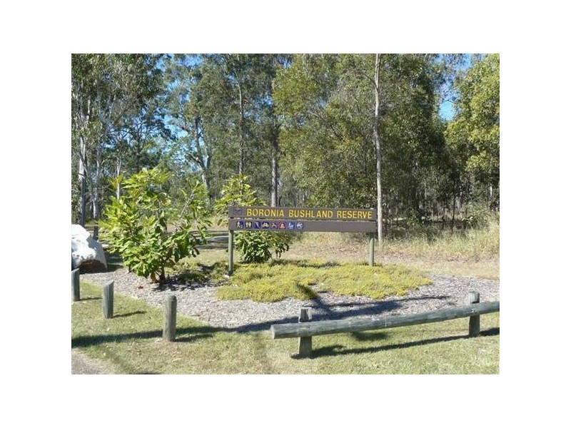 19 Conlan Street, Boronia Heights QLD 4124