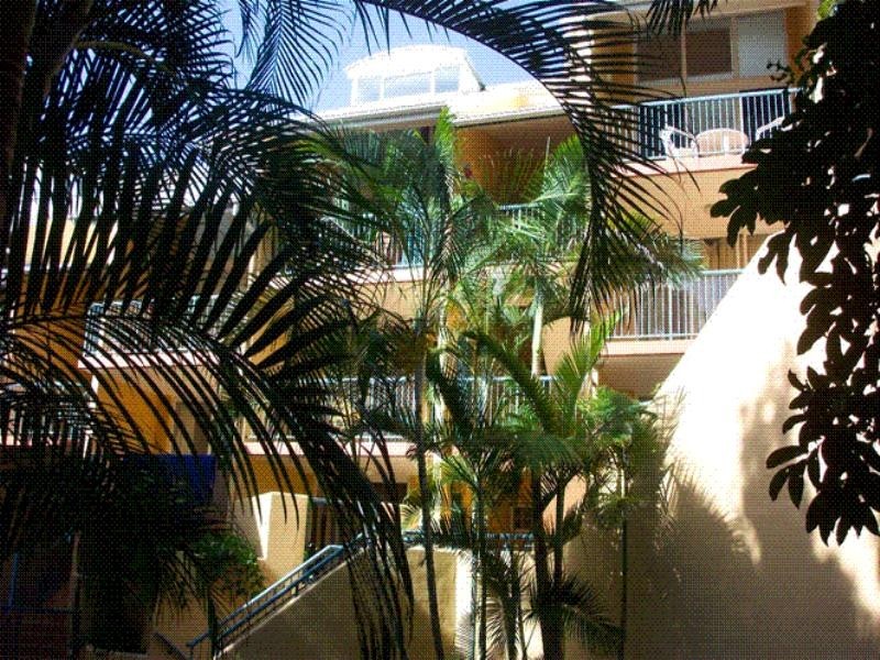 Spring Hill NSW 2800