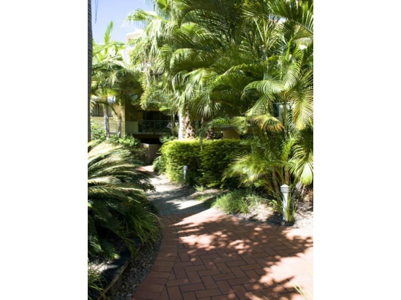 18/219 Wellington Road, Kangaroo Point QLD 4169