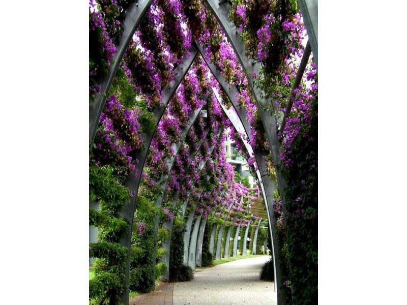 403/1a Glenelg Street, South Brisbane QLD 4101