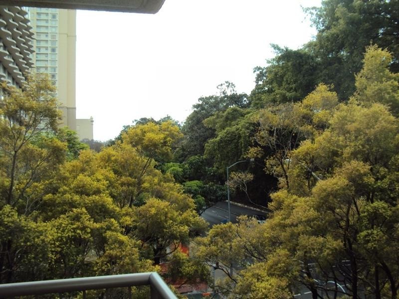 7/16 Albert Street, Brisbane QLD 4000