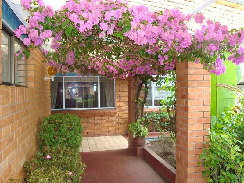 2 Bandaroo Street, Warana QLD 4575