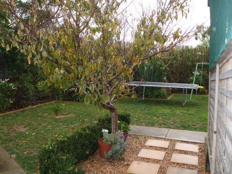 5 Borthwick Court, Port Lincoln SA 5606