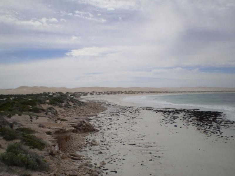 Lot 57 Main Street, Sheringa SA 5607