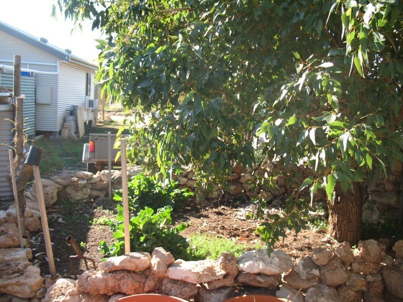 Lot 57 Main Street, Sheringa SA 5607