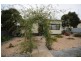 17 Cranston Street, Port Lincoln SA 5606