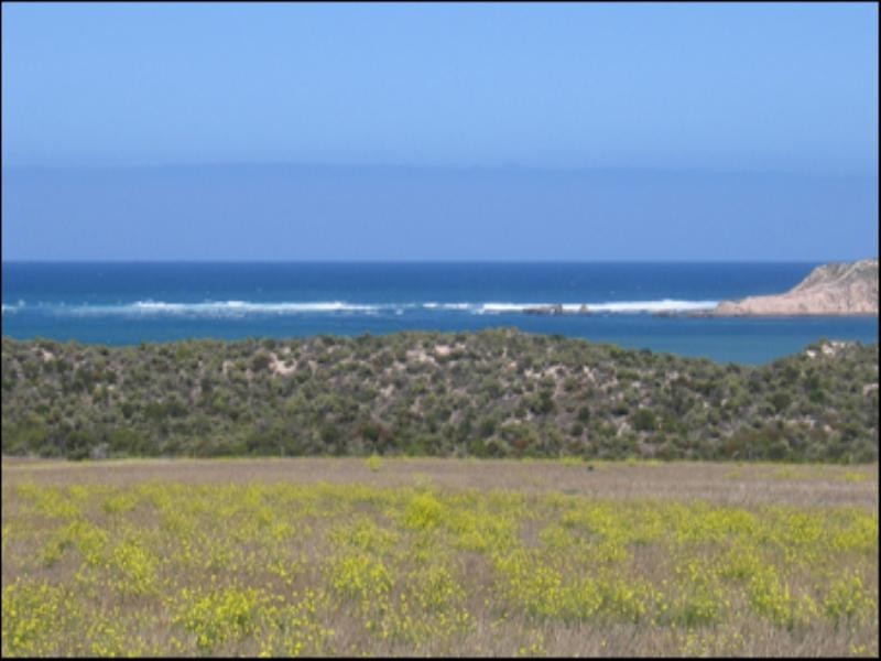 Lot 48-50 Waterloo Bay, Elliston SA 5670